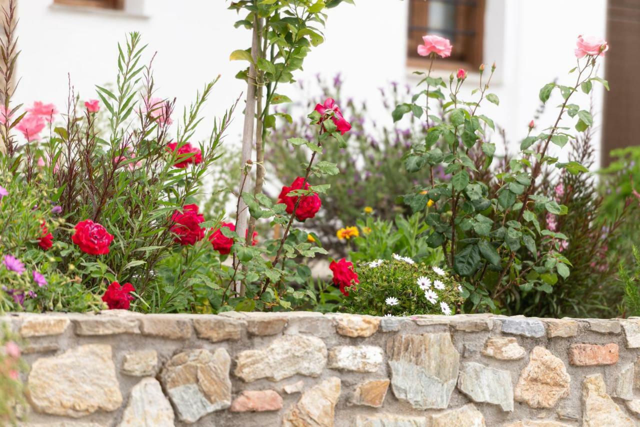 Garden House Psarogiannis Apartment Vourvourou Exterior photo
