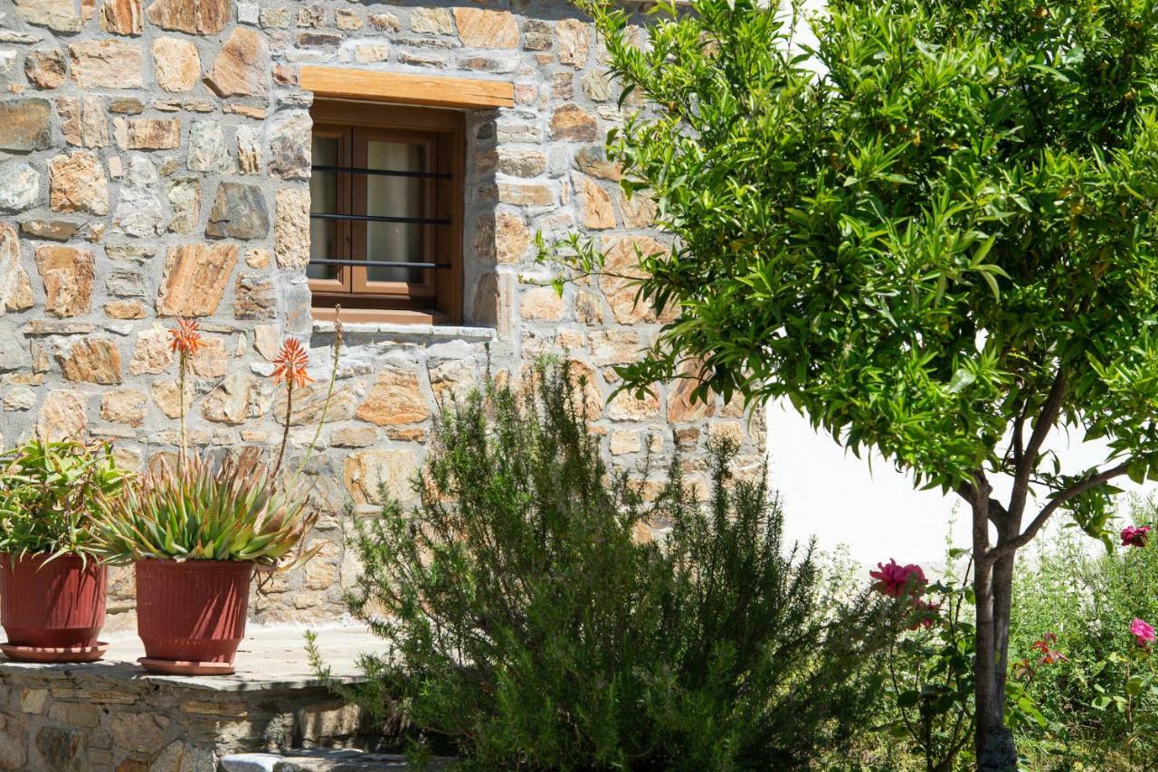 Garden House Psarogiannis Apartment Vourvourou Exterior photo